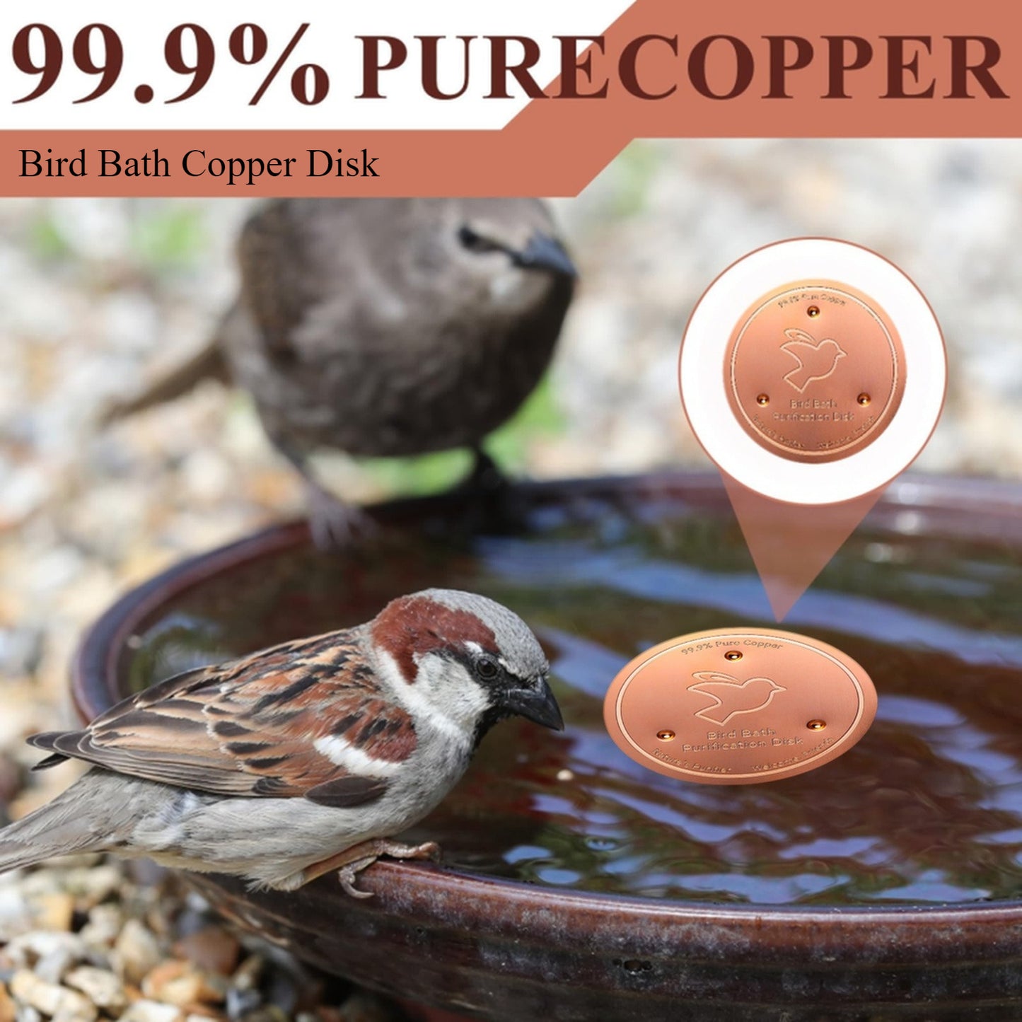 2pcs Bird Bath Copper Plate, 4 Inch 2mm Enhanced 99.99% Copper Cleaning Pad with Triple Support Point, Year-round Physical Safe Water Use, Suitable for Outdoor Universal Bird Tubs and Bowls, Garden Decor, Stylish Yard Furnish