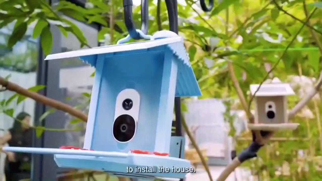Smart Bird Feeder With AI Camera: Identify 10, 000+ Bird Species, Real-Time App Monitoring, Solar-Powered & For Garden & Outdoor Use