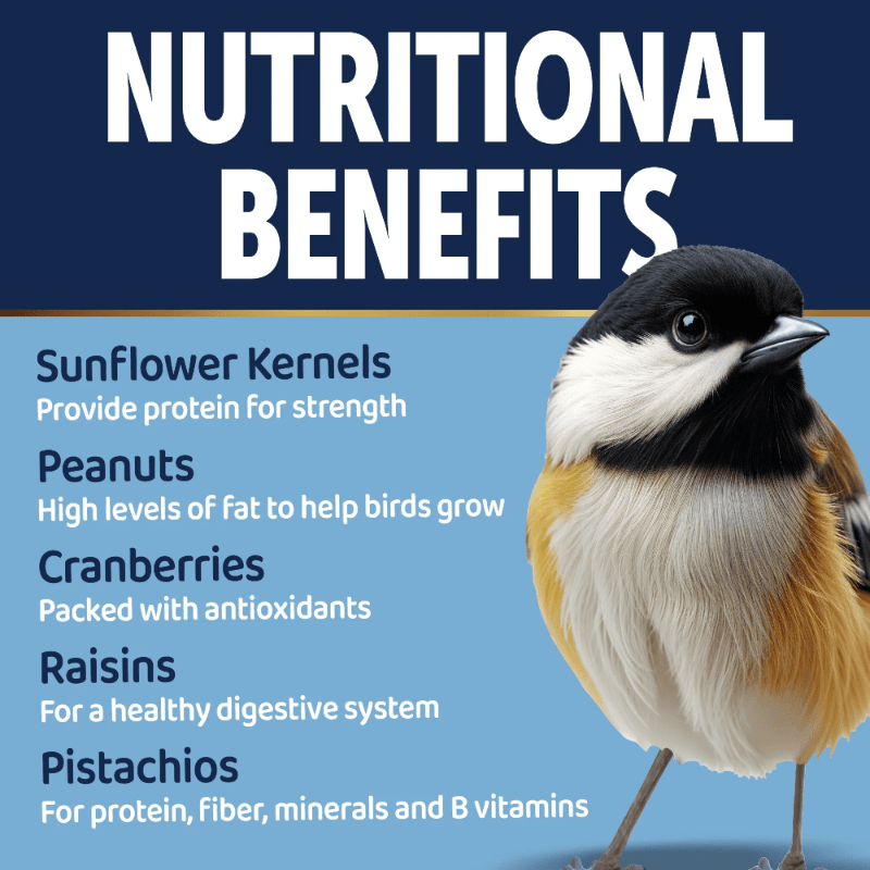 1-Pack Fruit and Nut Seed Mix, Nutrient-Rich Formula for Outdoor Feeders, 5 Pound Bag, Bird Seed Mix, Wildlife Feeding, Balanced Diet, Attractive Blend, Seed And Fruit Mix, Highprotein Mix, Nutritious Blend, Feeder Food, Gard
