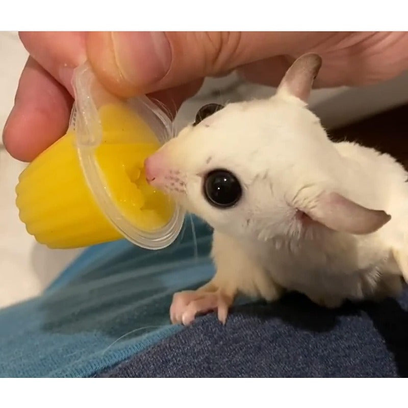 Nectar Pods (Pineapple) - Calcium-Fortified Jelly Fruit Treat - Sugar Gliders Marmosets, Squirrels, Parrots, Cockatiels, Parakeets, Birds, Hamsters, Day Geckos, Kinkajous & Other Small Pets