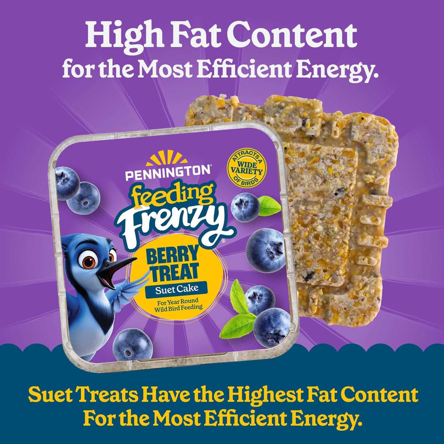 1 Cake (11.75oz/336ml) - Berry-Infused High-Fat Suet with Real Blueberries - All-Weather Formula for Winter, Spring, Summer, Fall - Attracts Blue Jays, Robins, Finches, Sparrows - Easy-to-Use Bird Feed - No Preparation Requir