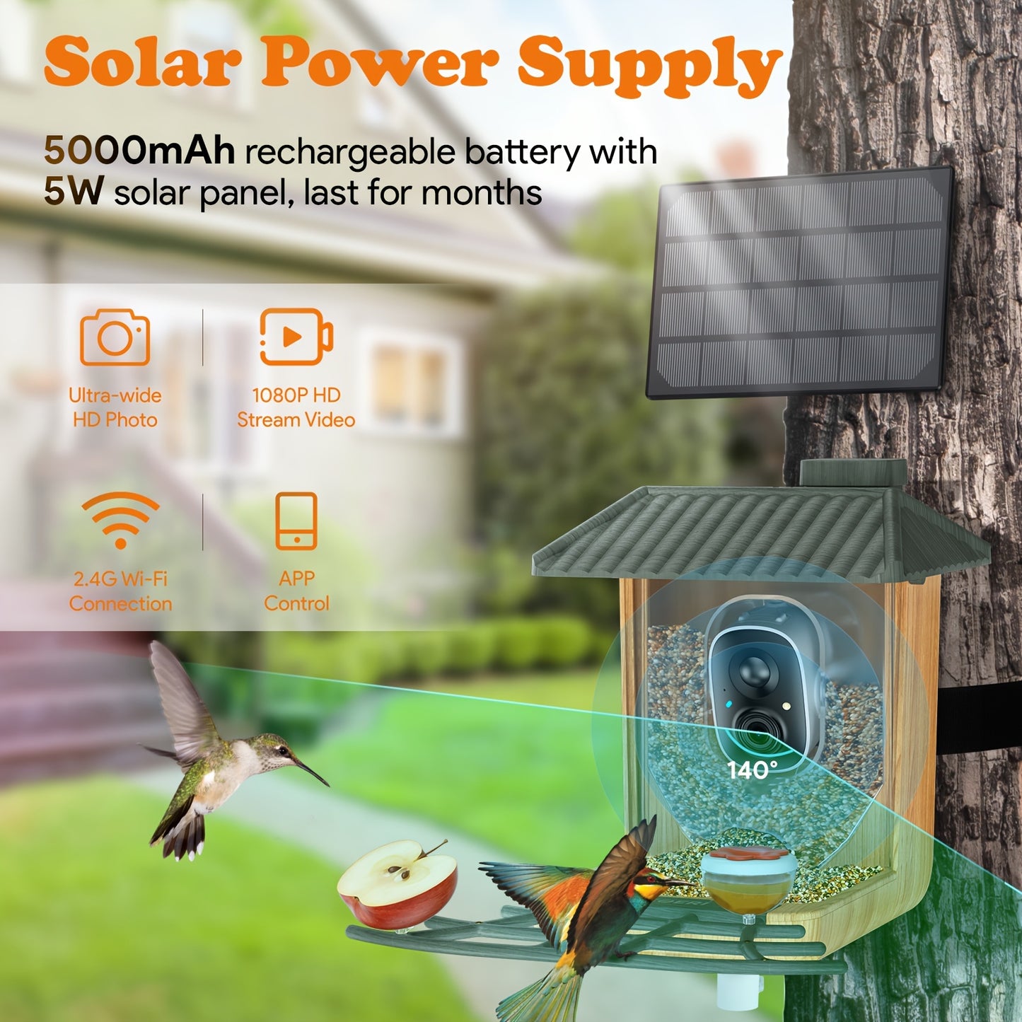Bird Feeder With Camera, Smart AI Identify Wild Bird Feeder Camera Solar Powered, Auto Capture Bird Videos & Motion Detection, DIY Add-ons & Hummingbird Feeder, Bird Camera Gift For Bird Lover-Wood