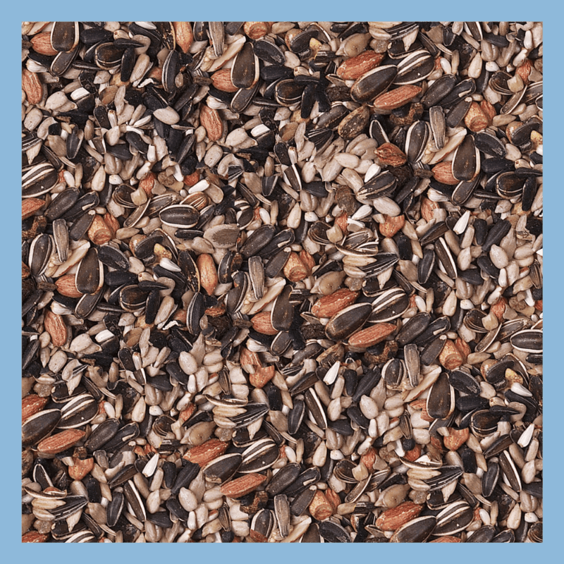 1-Pack Fruit and Nut Seed Mix, Nutrient-Rich Formula for Outdoor Feeders, 5 Pound Bag, Bird Seed Mix, Wildlife Feeding, Balanced Diet, Attractive Blend, Seed And Fruit Mix, Highprotein Mix, Nutritious Blend, Feeder Food, Gard