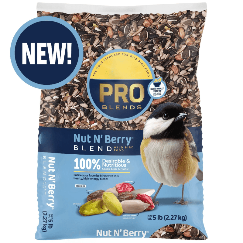 1-Pack Fruit and Nut Seed Mix, Nutrient-Rich Formula for Outdoor Feeders, 5 Pound Bag, Bird Seed Mix, Wildlife Feeding, Balanced Diet, Attractive Blend, Seed And Fruit Mix, Highprotein Mix, Nutritious Blend, Feeder Food, Gard