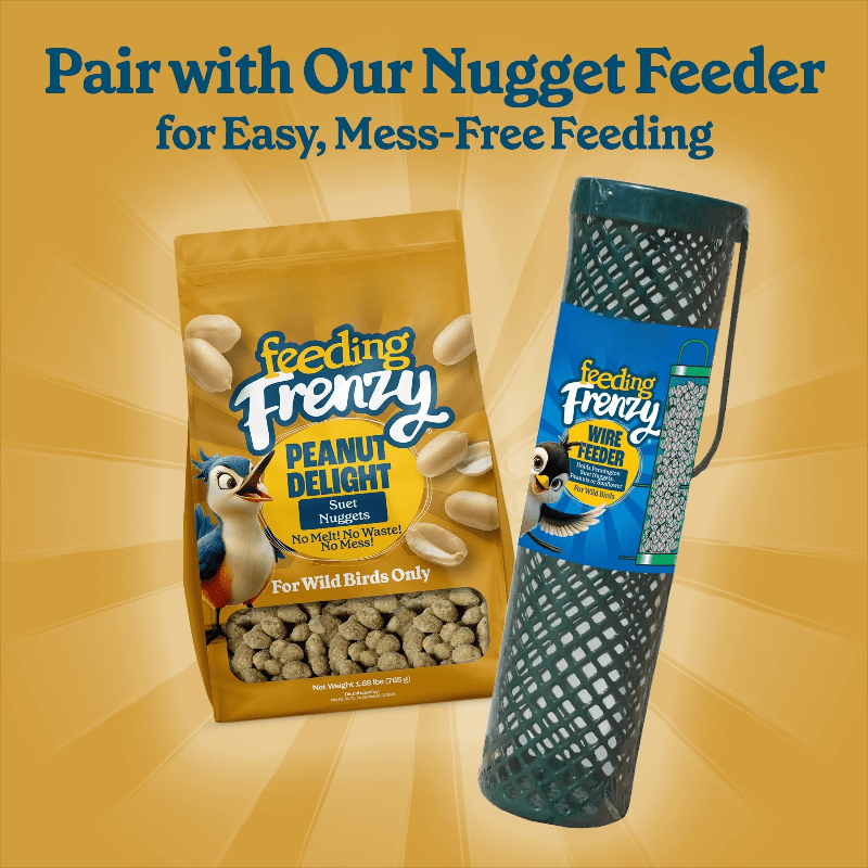 1 New 27-Ounce No-Melt Suet Nuggets for Wild Bird Feeding, 1-Pack