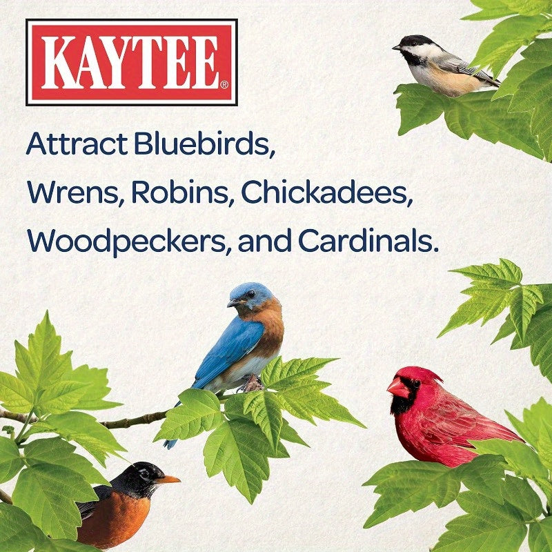 Wild Bird Gourmet Seed Cake for Cardinals Chickadees Juncos Titmice Woodpeckers and More 2 Pounds