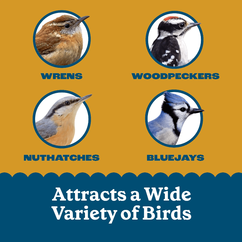 1 New 27-Ounce No-Melt Suet Nuggets for Wild Bird Feeding, 1-Pack