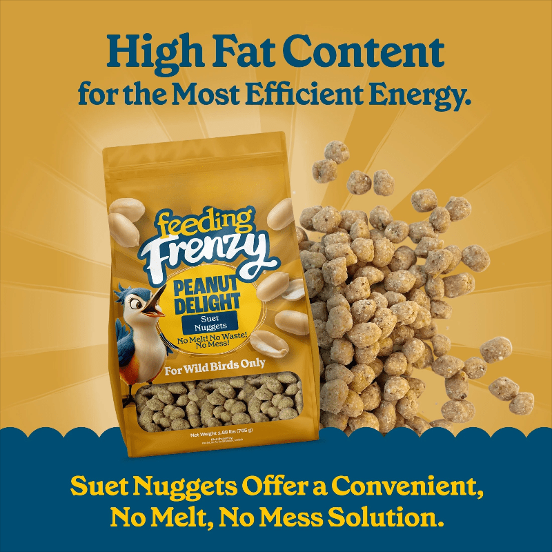 1 New 27-Ounce No-Melt Suet Nuggets for Wild Bird Feeding, 1-Pack