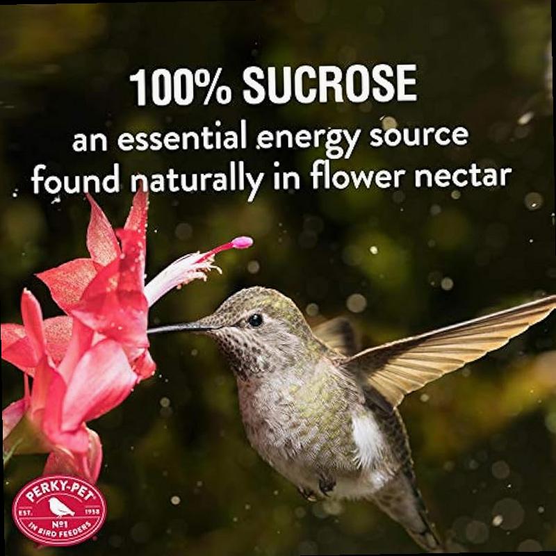 Perky Pet 238 Red Hummingbird Liquid Nectar 32 Fl Oz Makes Up To 96 Fluid Ounces