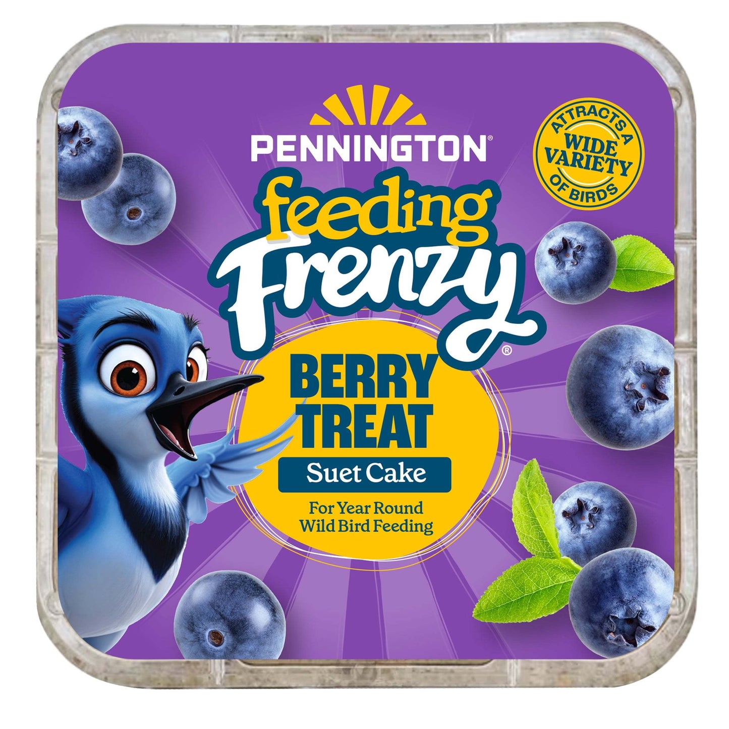 1 Cake (11.75oz/336ml) - Berry-Infused High-Fat Suet with Real Blueberries - All-Weather Formula for Winter, Spring, Summer, Fall - Attracts Blue Jays, Robins, Finches, Sparrows - Easy-to-Use Bird Feed - No Preparation Requir