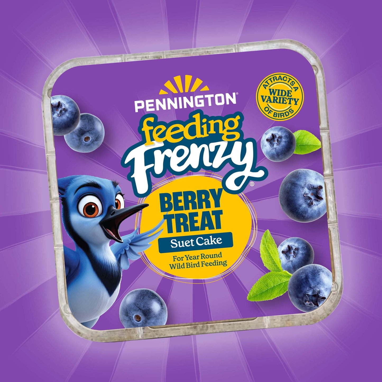 1 Cake (11.75oz/336ml) - Berry-Infused High-Fat Suet with Real Blueberries - All-Weather Formula for Winter, Spring, Summer, Fall - Attracts Blue Jays, Robins, Finches, Sparrows - Easy-to-Use Bird Feed - No Preparation Requir