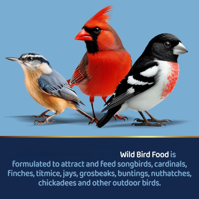 1-Pack Fruit and Nut Seed Mix, Nutrient-Rich Formula for Outdoor Feeders, 5 Pound Bag, Bird Seed Mix, Wildlife Feeding, Balanced Diet, Attractive Blend, Seed And Fruit Mix, Highprotein Mix, Nutritious Blend, Feeder Food, Gard