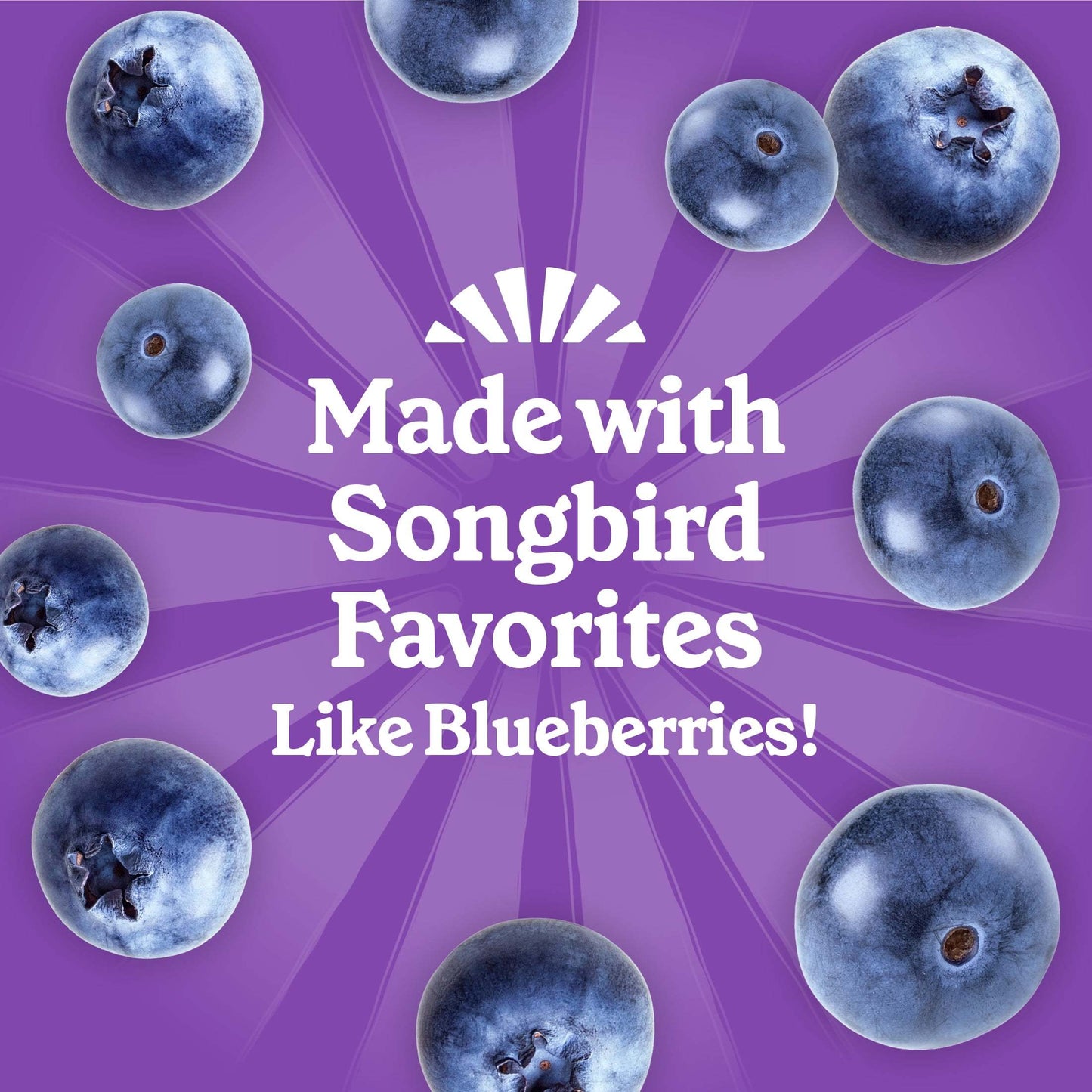 1 Cake (11.75oz/336ml) - Berry-Infused High-Fat Suet with Real Blueberries - All-Weather Formula for Winter, Spring, Summer, Fall - Attracts Blue Jays, Robins, Finches, Sparrows - Easy-to-Use Bird Feed - No Preparation Requir