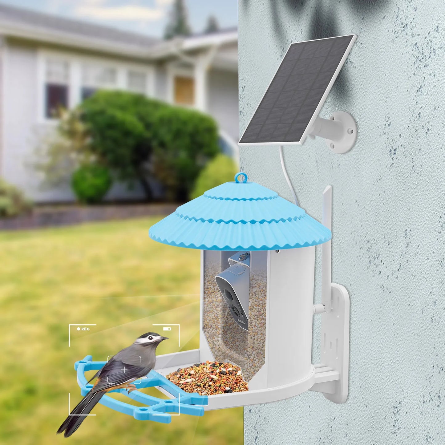 Smart Bird Feeder with 4MP Camera AI Recognizes 12,000+ Species, Solar Powered IP65 Waterproof & Night Vision