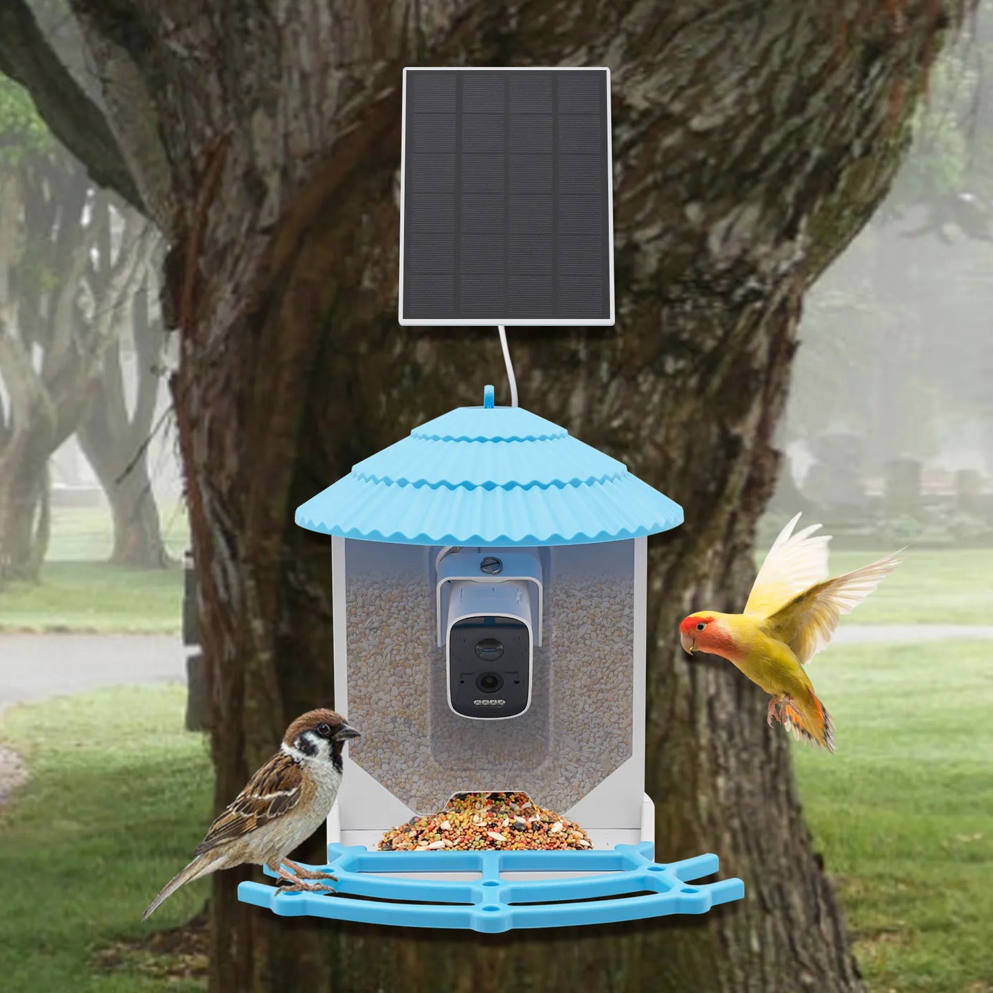 Smart Bird Feeder with 4MP Camera AI Recognizes 12,000+ Species, Solar Powered IP65 Waterproof & Night Vision