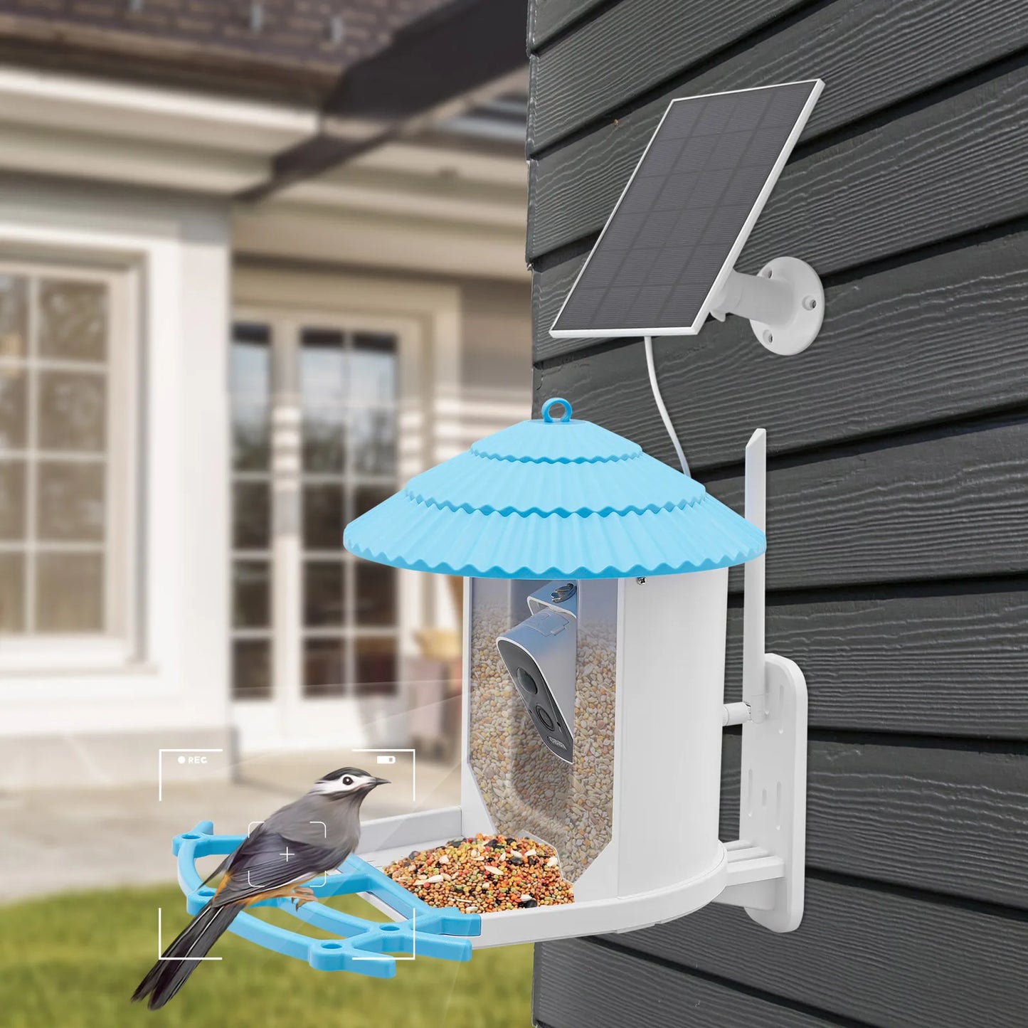Smart Bird Feeder with 4MP Camera AI Recognizes 12,000+ Species, Solar Powered IP65 Waterproof & Night Vision