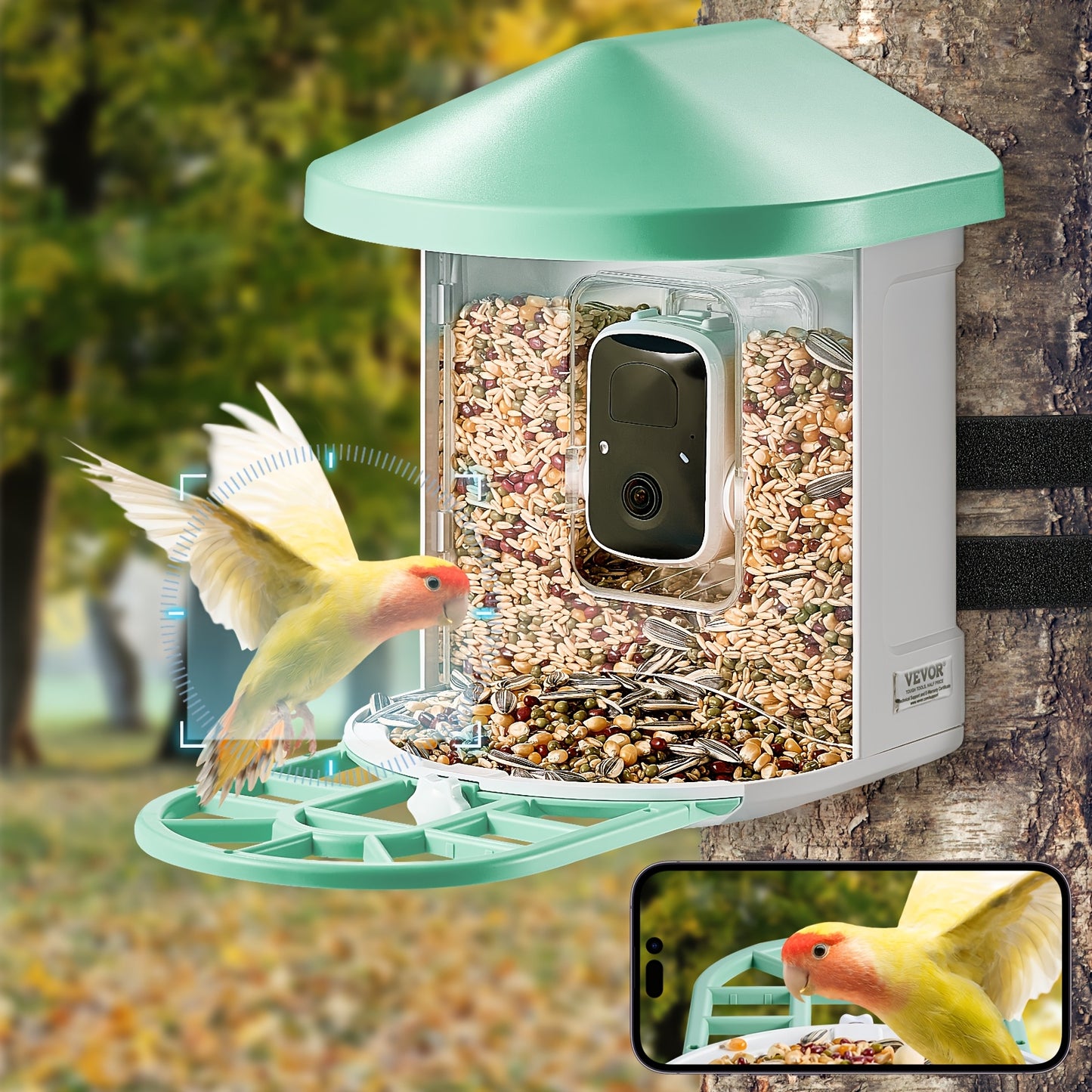 Happybuy Smart Bird Feeder with HD Camera - 10, 000+ Bird IDs, Solar-Powered, Auto Capture & Notify, Includes Fruit & Seed Feeders, Green/Blue Roof, Ideal for Outdoor Birding & Gifts for Bird Lovers, Happybuy