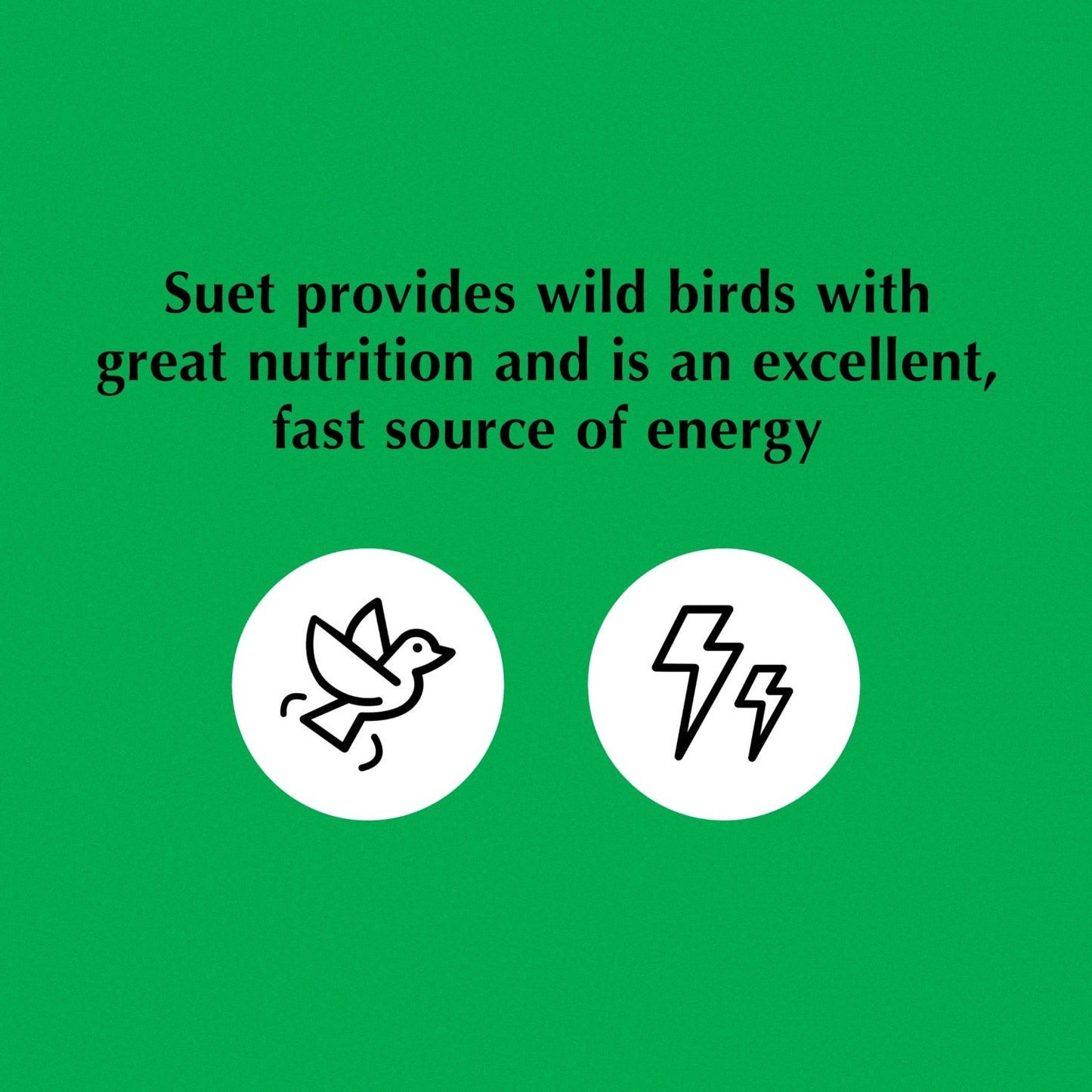 Orange-Flavored Wild Bird Food - High-Energy Blend for Fruit-Eating Birds, Suitable for Year-Round Feeding in Cake Feeders 11.75 Ounces
