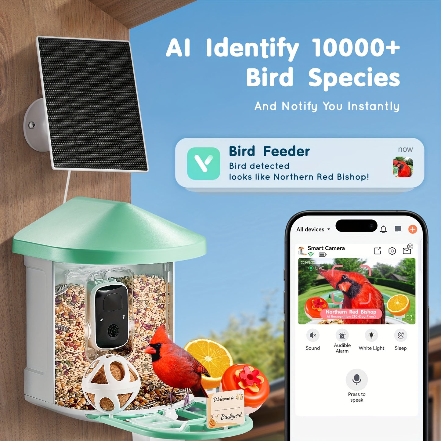 Happybuy Smart Bird Feeder with HD Camera - 10, 000+ Bird IDs, Solar-Powered, Auto Capture & Notify, Includes Fruit & Seed Feeders, Green/Blue Roof, Ideal for Outdoor Birding & Gifts for Bird Lovers, Happybuy