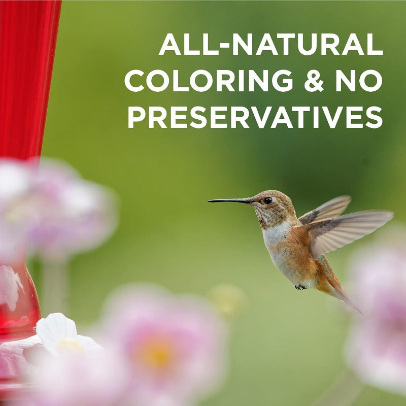 Hummingbird Food Wild Bird Nectar Hummingbird Food for Outside Feeder 3 3oz. PreMeasured Packets
