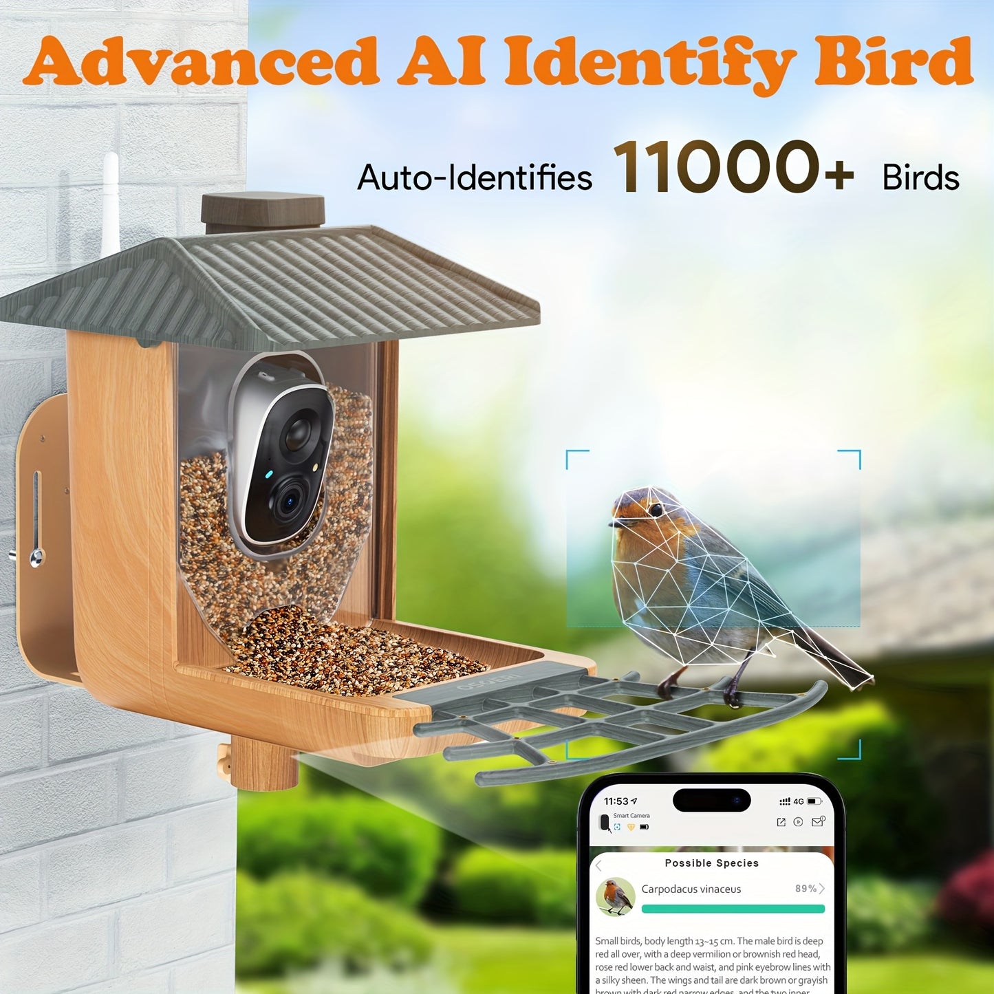 Bird Feeder With Camera, Smart AI Identify Wild Bird Feeder Camera Solar Powered, Auto Capture Bird Videos & Motion Detection, DIY Add-ons & Hummingbird Feeder, Bird Camera Gift For Bird Lover-Wood