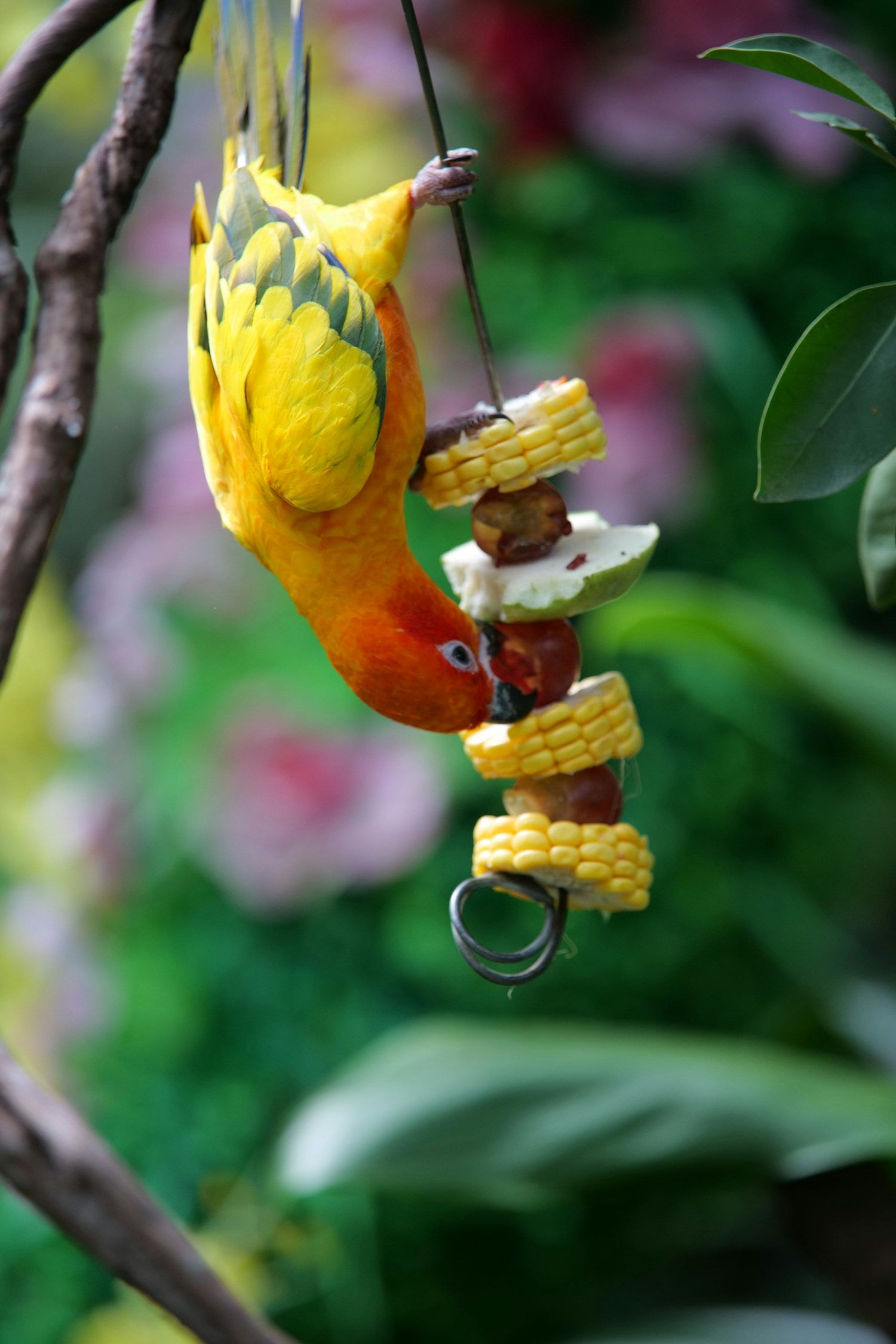 Yard Accessories