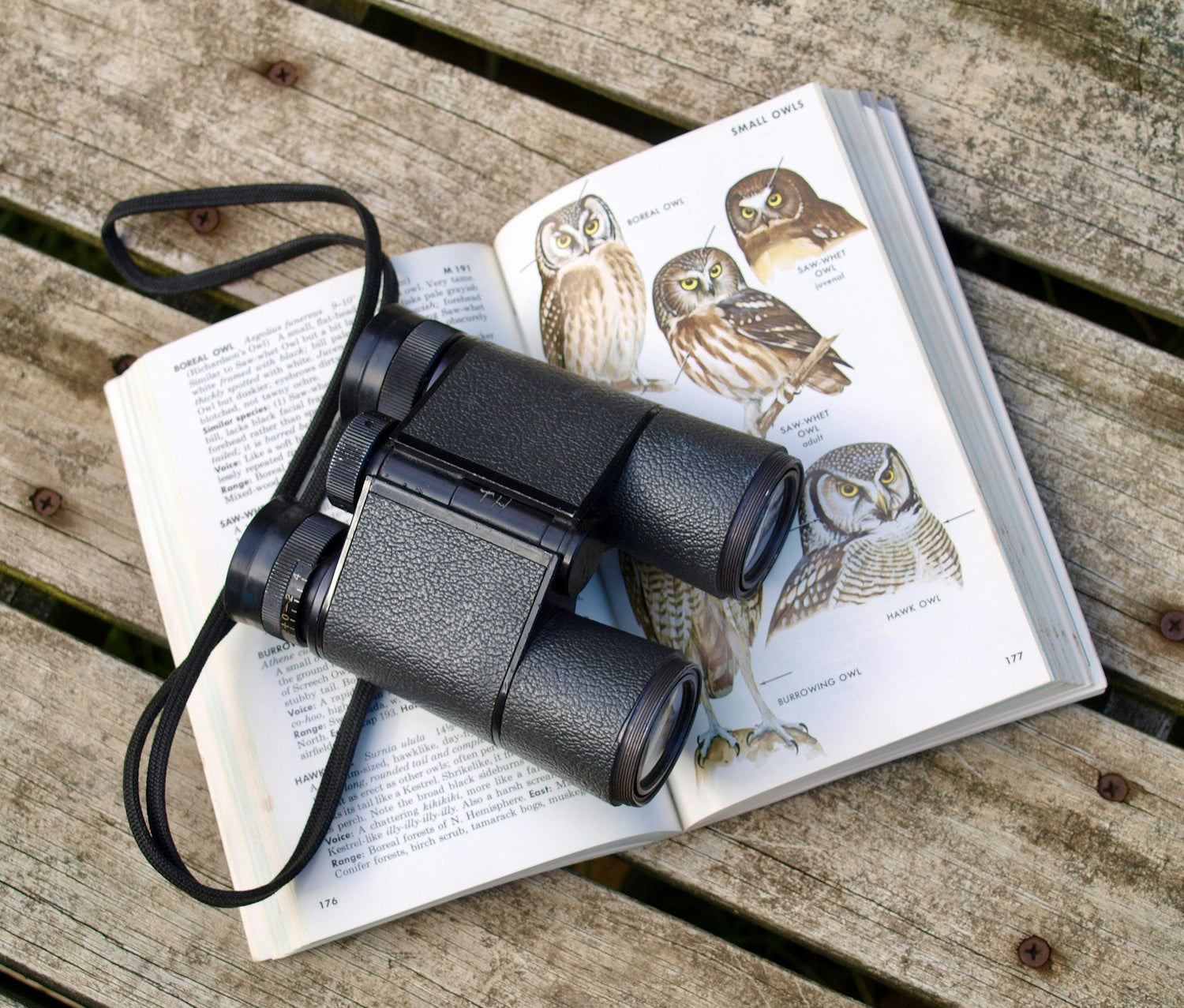 Bird Books
