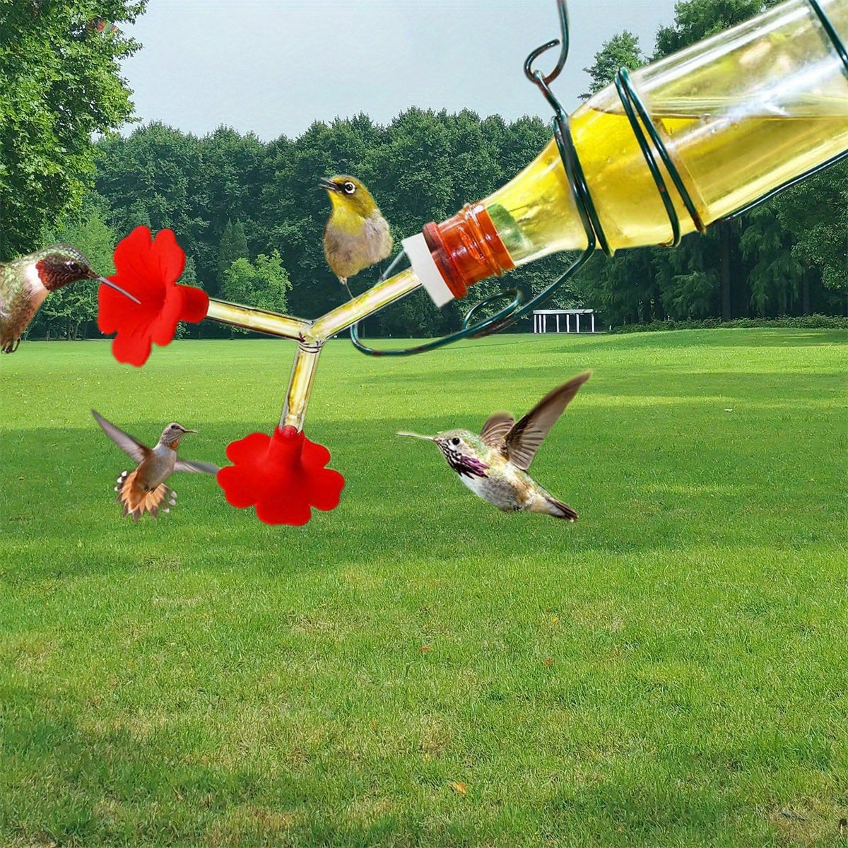 Hanging Hummingbird Feeder for Outdoors Transparent Plastic Hummingbird Feeder Tubes for Garden, Yard, Porch