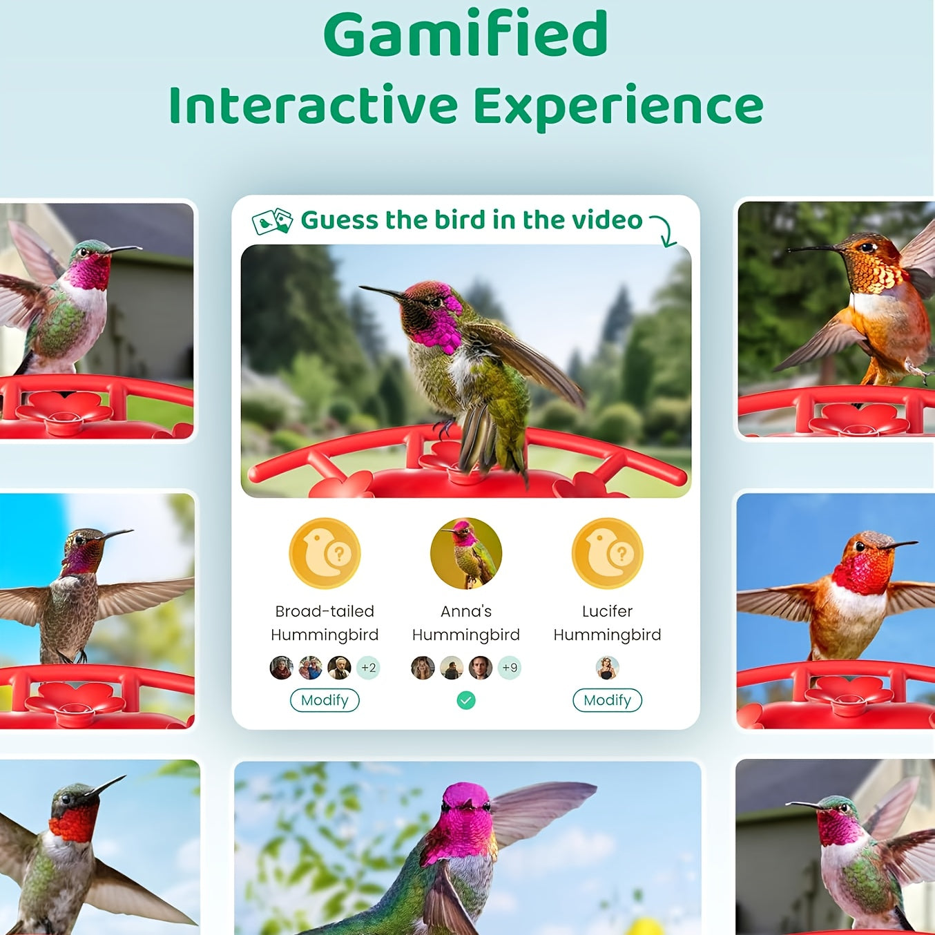 HIXX Smart Hummingbird Feeder with Camera, Hummingbird Feeder Flowers, Outdoor Bird Feeder, Wildlife Observation, Backyard Wildlife, Modern Bird Accessory, Sleek Outdoor Design, Solarpowered Feeder, Durable Plastic, Camera Fe