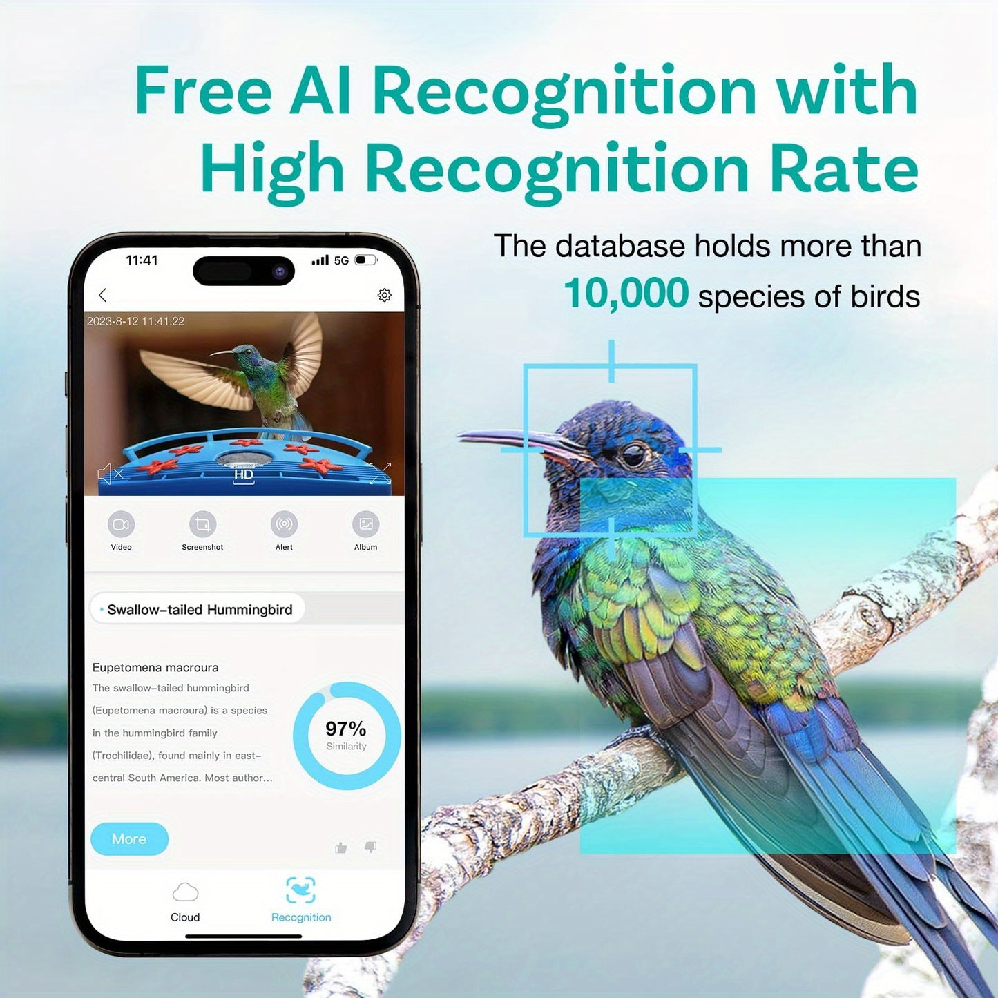 Smart Bird Feeder Camera With Solar Panel & Auto Capture - 1080P HD AI Identify 11, 000+ Species, Night Vision, IP65 Wireless Design, Real-Time Alerts & Motion Detection For Hummingbird Watching