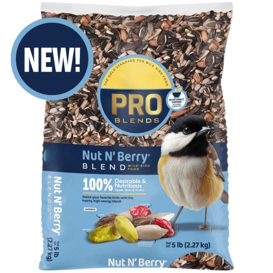1-Pack Fruit and Nut Seed Mix, Nutrient-Rich Formula for Outdoor Feeders, 5 Pound Bag, Bird Seed Mix, Wildlife Feeding, Balanced Diet, Attractive Blend, Seed And Fruit Mix, Highprotein Mix, Nutritious Blend, Feeder Food, Gard