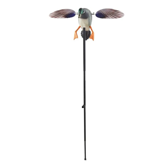Realistic Wing Duck Decoy Teal Decoy for Outdoor for  1-Pack