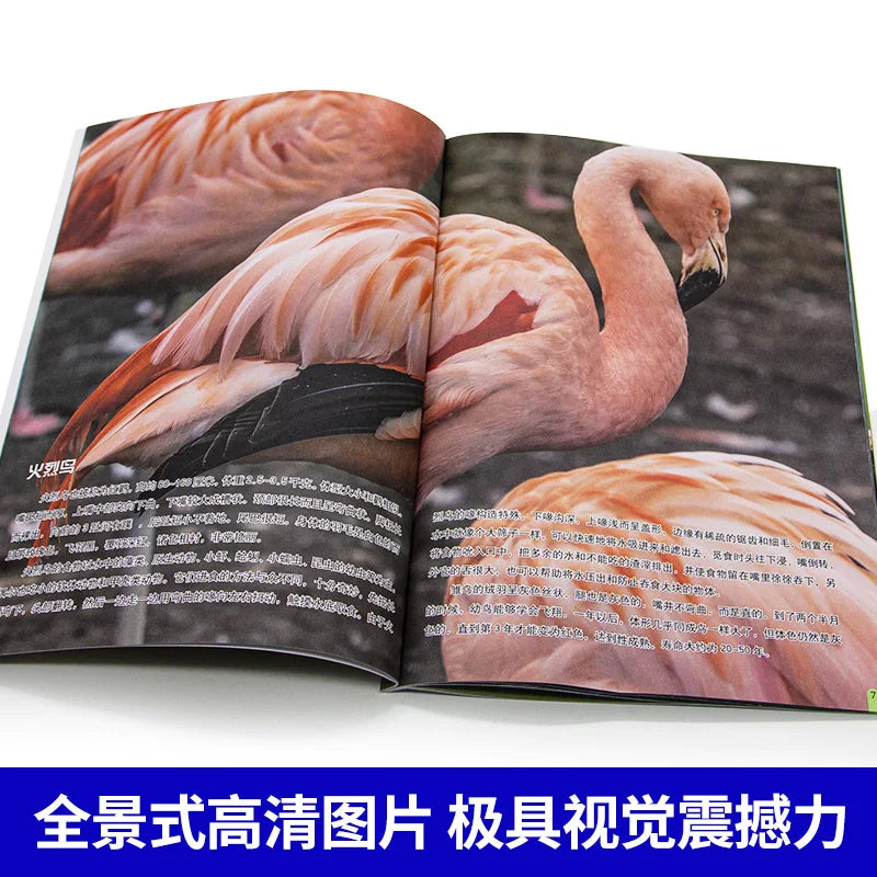 Encyclopedia of World Animals for Children, Children's Science Popularization Knowledge Extracurricular Reading Book