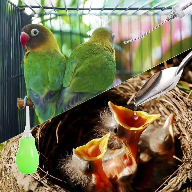 1.69oz Bird Feeding Syringe Set Pet Syringe with 6pcs Curved Gavage Feeding Tubes and Bird Drinker Stainless Steel Metal Feeding Spoon Birds Parrot Small Pet, Bird Foods, Water Feeder For Birds, Bird Feeders For Cages, No Mes